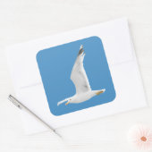 カモメ飛んでいるモ スクエアシール (封筒)