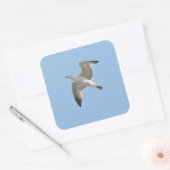 カモメ飛んでいるモ スクエアシール (封筒)