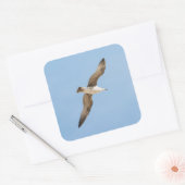 カモメ飛んでいるモ スクエアシール (封筒)