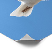 カモメ飛んでいるモ ポスター (角)