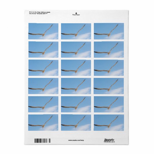 カモメ飛んでいるモ ラベル (フルシート)