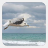 カモメ飛行 スクエアシール (正面)
