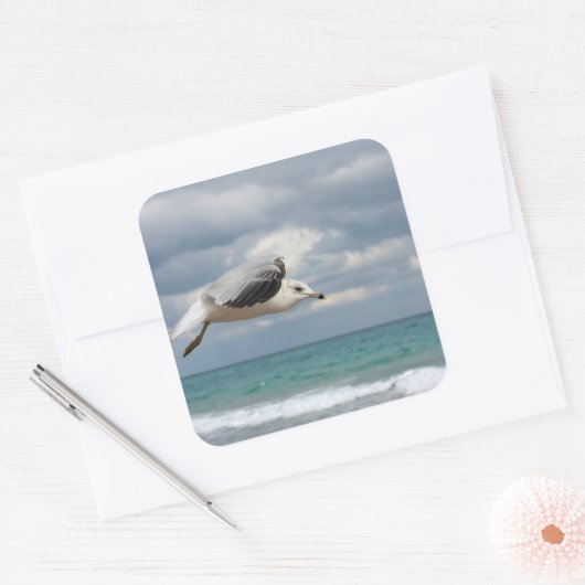 カモメ飛行 スクエアシール (封筒)