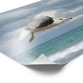 カモメ飛行 フォトプリント            (角)