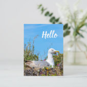 カモメ鳥こんにちは ポストカード (スタンド正面)