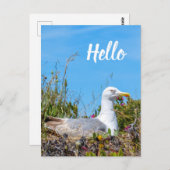 カモメ鳥こんにちは ポストカード (正面/裏面)