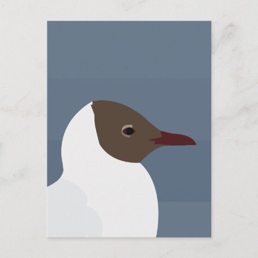 カモメ鳥カモメ ポストカード (正面)