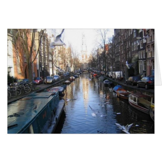 カモメ (正面横)