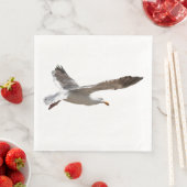 カモメ (インサイチュ)