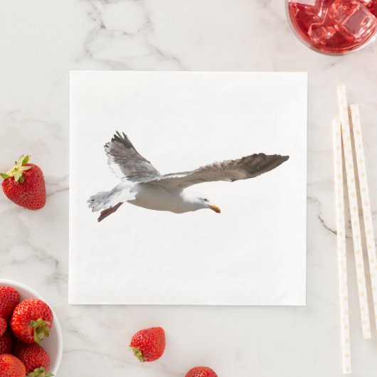 カモメ (インサイチュ)