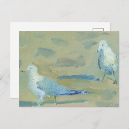 カモメ1 ポストカード (正面/裏面)