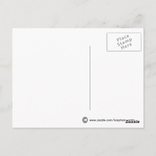 カモメ/はがき ポストカード (裏面)