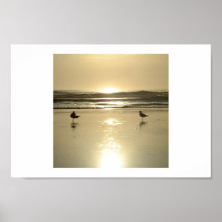 カモメ・アット・デイトナ ポスター