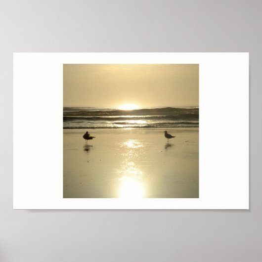 カモメ・アット・デイトナ ポスター (正面)