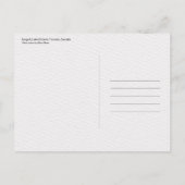 カモメ、オンタリオ湖、トロント、カナダ ポストカード (裏面)