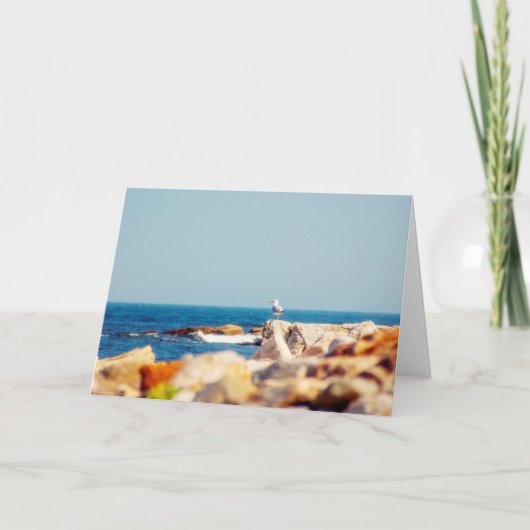 カモメ カード (正面)