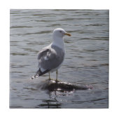 カモメ タイル (正面)