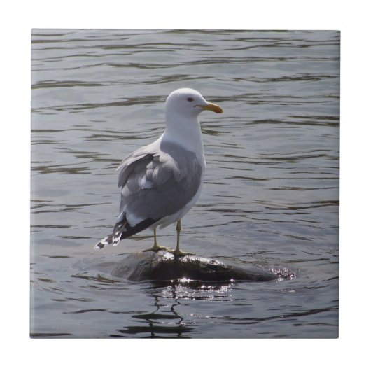 カモメ タイル (正面)