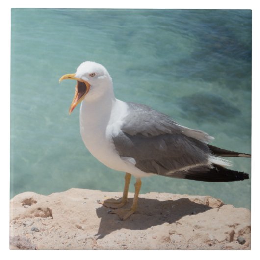 カモメ タイル (正面)