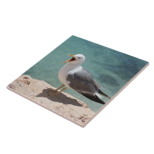 カモメ タイル (側面)