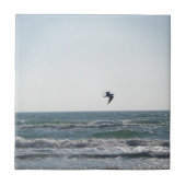 カモメ タイル (正面)