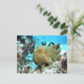 カモメ ポストカード (スタンド正面)