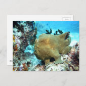 カモメ ポストカード (正面/裏面)