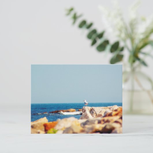 カモメ ポストカード (スタンド正面)