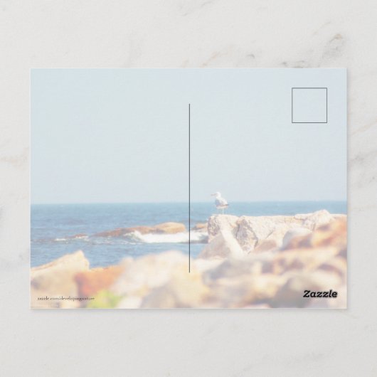 カモメ ポストカード (裏面)