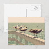 カモメ ポストカード (正面/裏面)