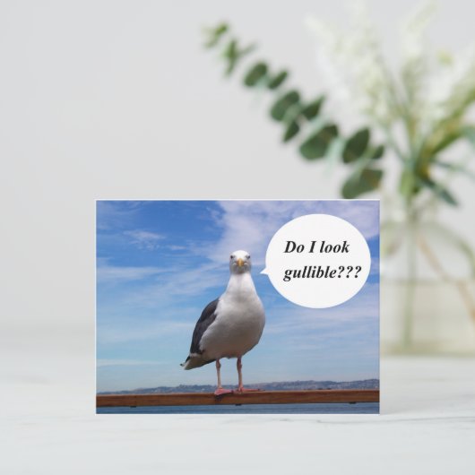 カモメ ポストカード (スタンド正面)