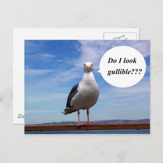 カモメ ポストカード (正面/裏面)