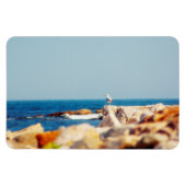 カモメ マグネット (横)