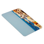 カモメ マグネット (右側)