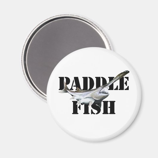 カモメ マグネット (正面/裏面)