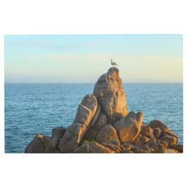 カモメ メタルプリント