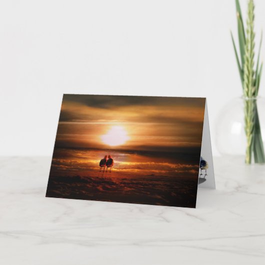 カモメ – ロビーバードとサンセットバレンタインデー シーズンカード (正面)