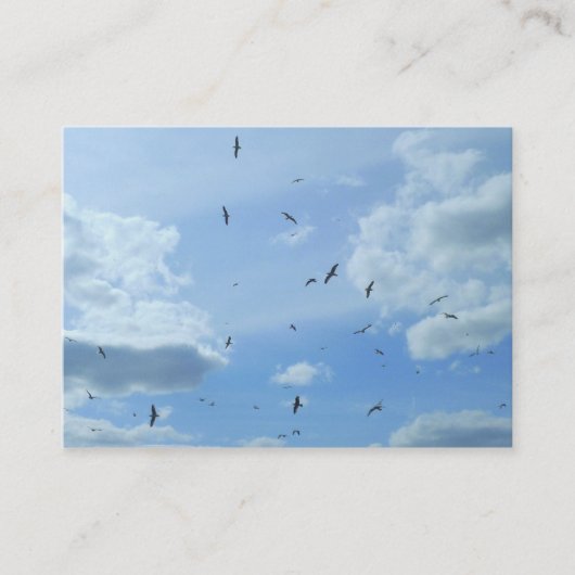 カモメ 名刺 (正面)