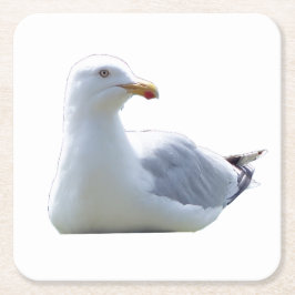 カモメ 海岸 鳥 自然 海 ビーチ シーン スクエアペーパーコースター