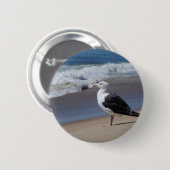 カモメ 缶バッジ (正面&裏面)