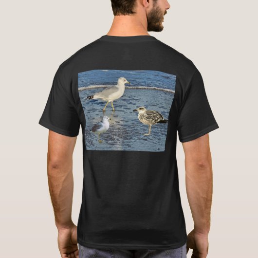 カモメ Tシャツ (裏面)