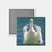 カモ叩き磁石 マグネット (正面/裏面)