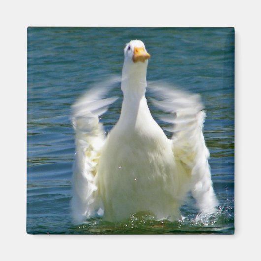 カモ叩き磁石 マグネット (正面)