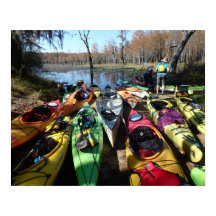 カヤッカラフルクス