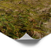 カヤックアットレスト ポスター (角)