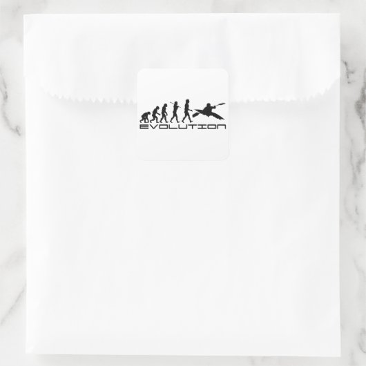 カヤックカヤックウォータースポーツ進化アート スクエアシール (バッグ)