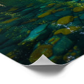 カヤックジャングル川 ポスター (角)