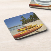 カヤックスオンザビーチプランテーションアイランドリゾート コースター (左側)