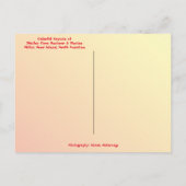 カヤックスカラフルシェルターコーブマリーナヒルトンヘッドSC ポストカード (裏面)