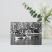 カヤック女性 ポストカード (スタンド正面)